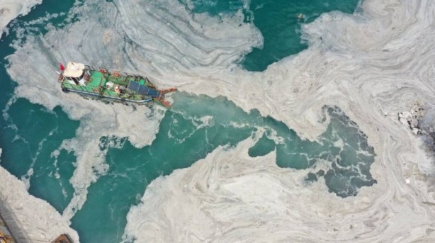 Foto - Uzmanı uyardı! Denizlerin büyük sorunu geri dönüyor