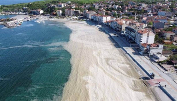 Foto - Uzmanı uyardı! Denizlerin büyük sorunu geri dönüyor