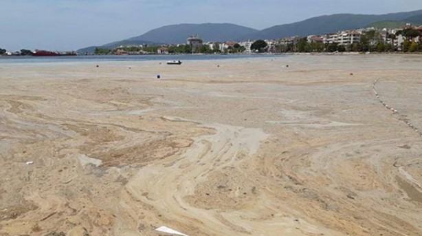 Foto - Uzmanı uyardı! Denizlerin büyük sorunu geri dönüyor