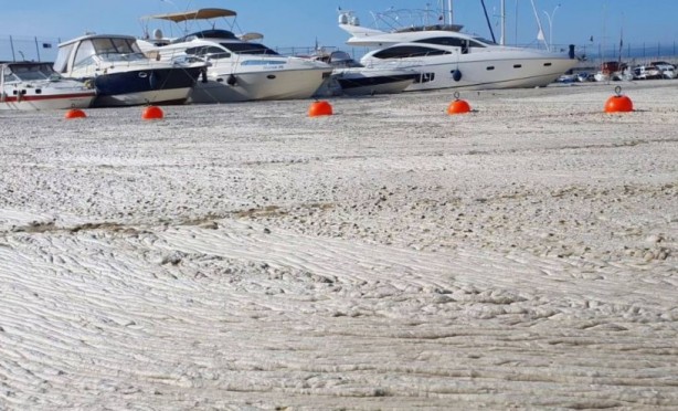 Foto - Uzmanı uyardı! Denizlerin büyük sorunu geri dönüyor