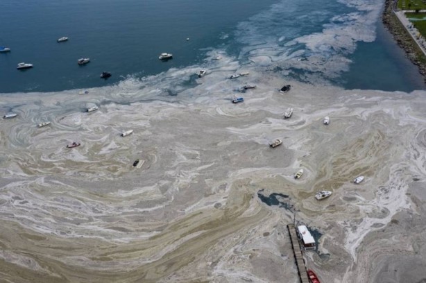 Foto - Uzmanı uyardı! Denizlerin büyük sorunu geri dönüyor