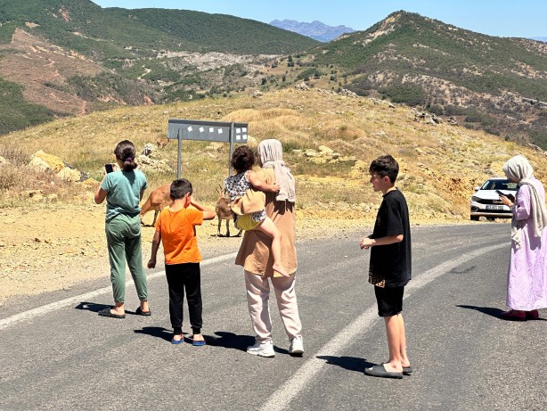 Foto - Uzmanından 'ölümcül' uyarı! Yaşamları ciddi anlamda tehlikede