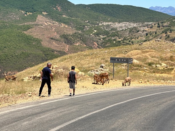 Foto - Uzmanından 'ölümcül' uyarı! Yaşamları ciddi anlamda tehlikede