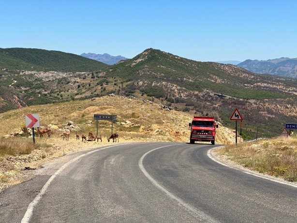 Foto - Uzmanından 'ölümcül' uyarı! Yaşamları ciddi anlamda tehlikede