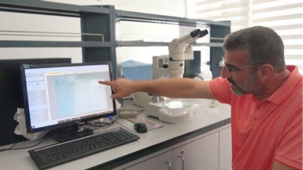 Foto - Uzmanından tuzla ilgili bilinen yanlışa cevap