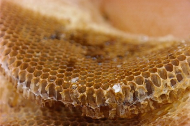 Foto - Uzmanından uyarı: Aman dikkat! Ağzınıza bile sürmeyin