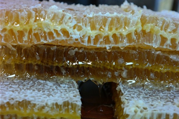 Uzmanından uyarı: Aman dikkat! Ağzınıza bile sürmeyin