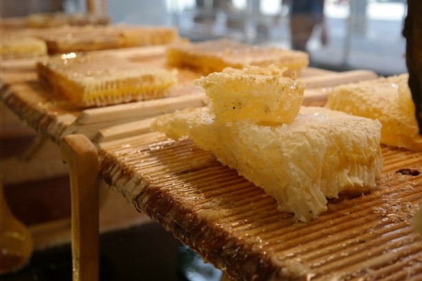 Foto - Uzmanından uyarı: Aman dikkat! Ağzınıza bile sürmeyin