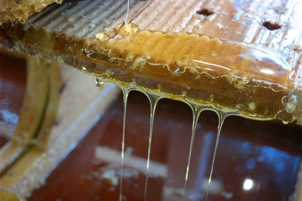 Foto - Uzmanından uyarı: Aman dikkat! Ağzınıza bile sürmeyin