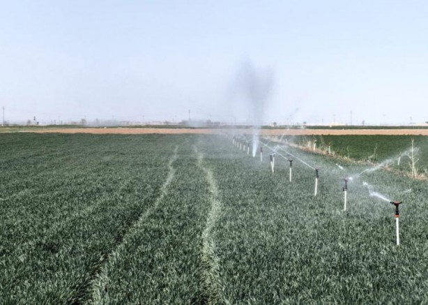 Foto - Uzmanından yağış uyarısı! 10-15 gün içerisinde yağış almazsa yandık