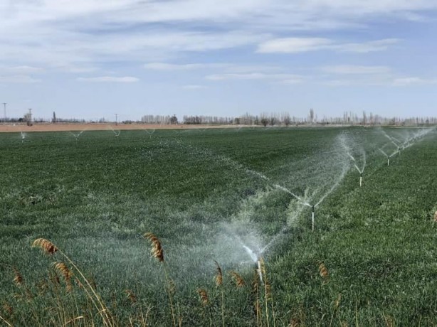Foto - Uzmanından yağış uyarısı! 10-15 gün içerisinde yağış almazsa yandık