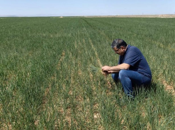 Foto - Uzmanından yağış uyarısı! 10-15 gün içerisinde yağış almazsa yandık