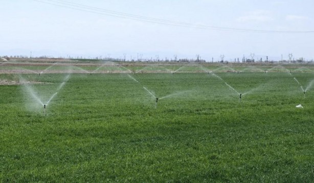 Foto - Uzmanından yağış uyarısı! 10-15 gün içerisinde yağış almazsa yandık