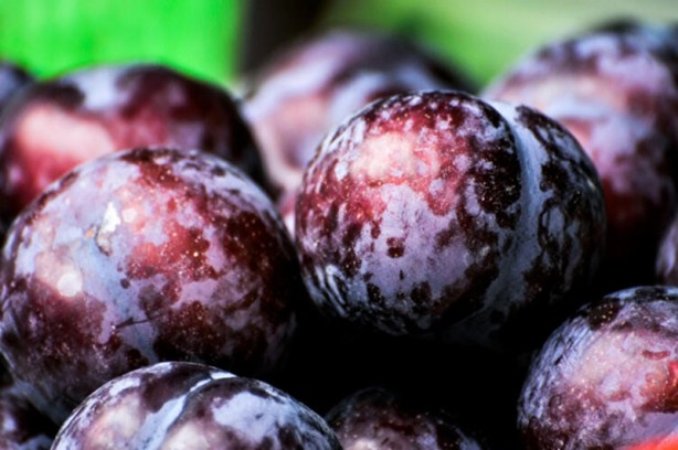 Foto - Uzmanlar açıkladı: Bu besinler sigara bıraktırıyor