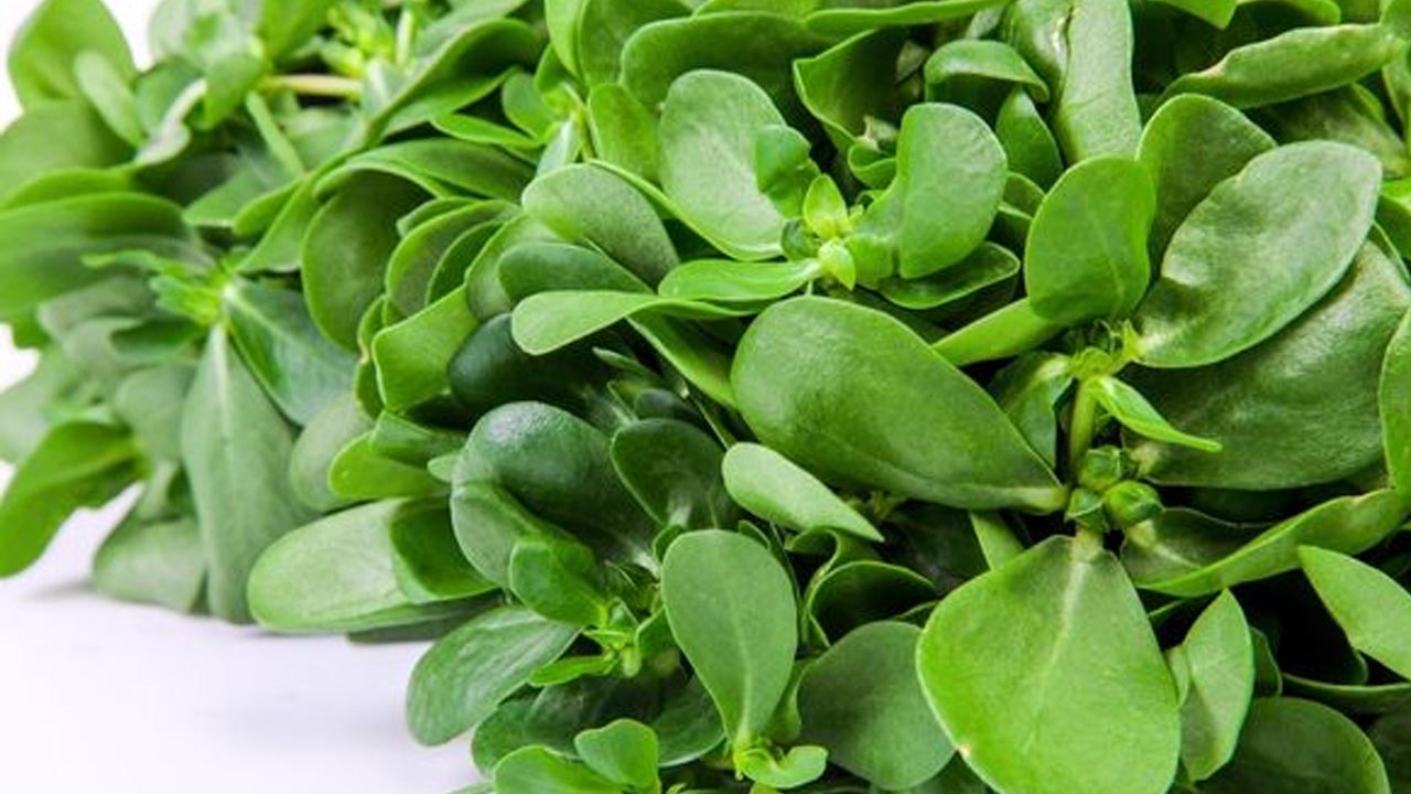 Foto - Uzmanlar açıkladı! İşte semizotunun az bilinen yararları