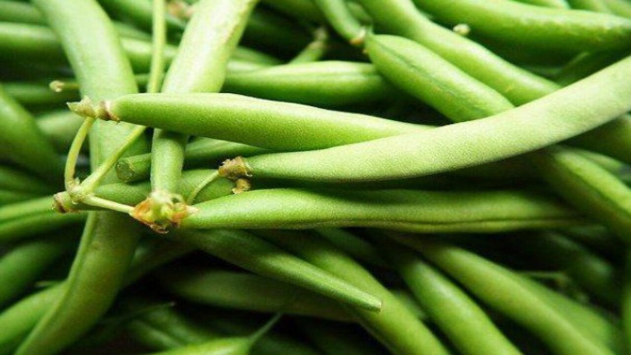 Foto - Uzmanlar açıkladı! Saçlarda seyreklik neden olur?