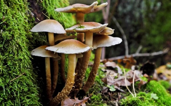 Foto - Uzmanlar anlatıyor ama... Kimse bu uyarıları dinlemiyor