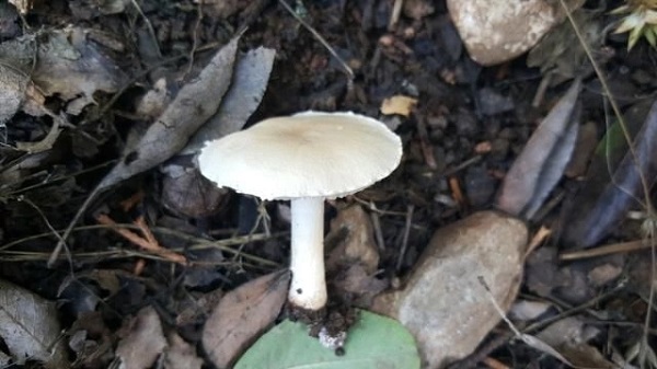 Foto - Uzmanlar anlatıyor ama... Kimse bu uyarıları dinlemiyor