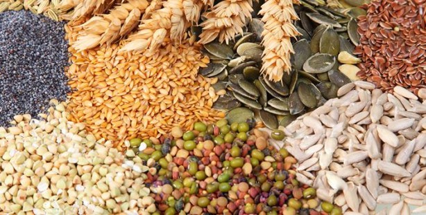 Foto - Uzmanlar bu besinlerin her gün tüketilmesini öneriyor