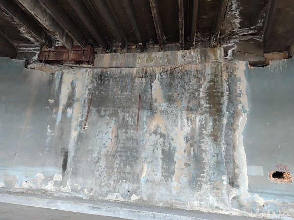 Foto - Uzmanlar çağrı yaptı "Esenler Otogarı'nı acilen boşaltın" 