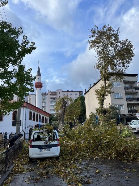 Foto - Uzmanlar gelecek adına endişeli! Ölümcül hastalık İstanbul'dan sonra Denizli'de görüldü