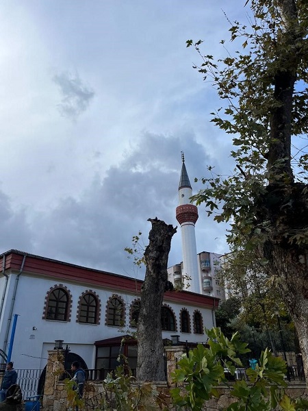 Foto - Uzmanlar gelecek adına endişeli! Ölümcül hastalık İstanbul'dan sonra Denizli'de görüldü