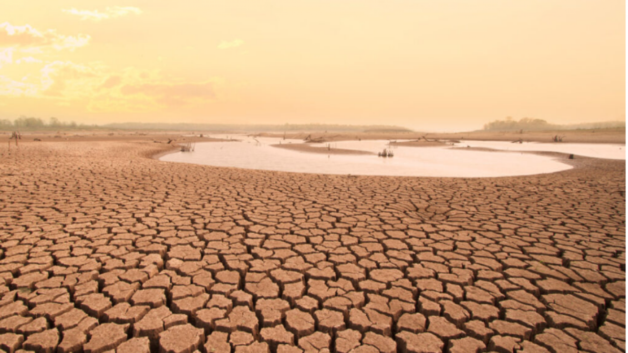 Uzmanlar kuraklık için uyardı, acil önlem şart: Gelecek seneler bir öncekinden daha kötü olacak