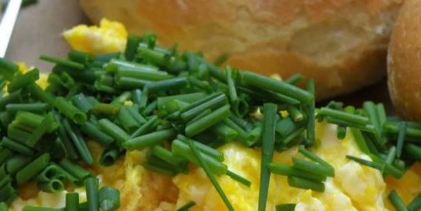 Foto - Uzmanlar öyle bir yanıt verdi ki! Meğer bir sebebi varmış: Kahvaltıda sebze tüketilmesinin gerçek nedenini ortaya çıkardı