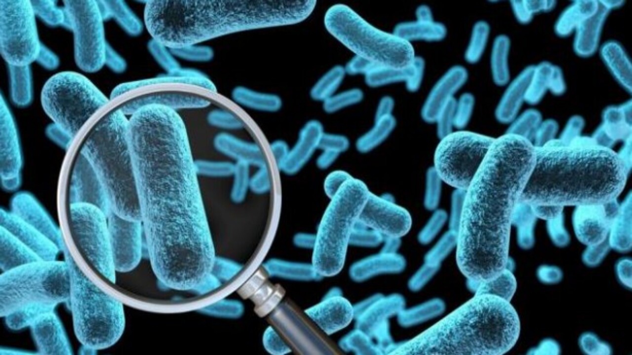 Foto - Uzmanlar özellikle uyardı! İşte evinize sessizce sızan tehlikeli bakteri