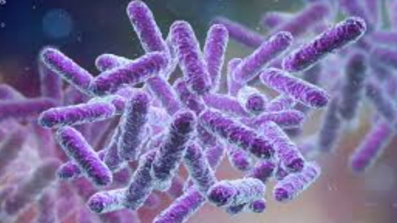 Uzmanlar özellikle uyardı! İşte evinize sessizce sızan tehlikeli bakteri