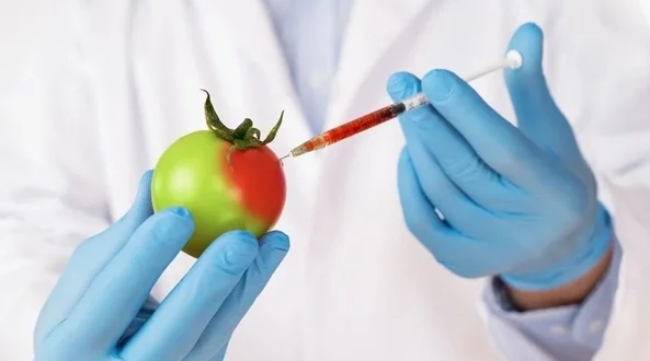 Foto - Uzmanlar peşpeşe uyardı! Bu diyeti yapan kısır oluyor