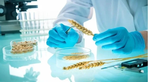 Foto - Uzmanlar peşpeşe uyardı! Bu diyeti yapan kısır oluyor