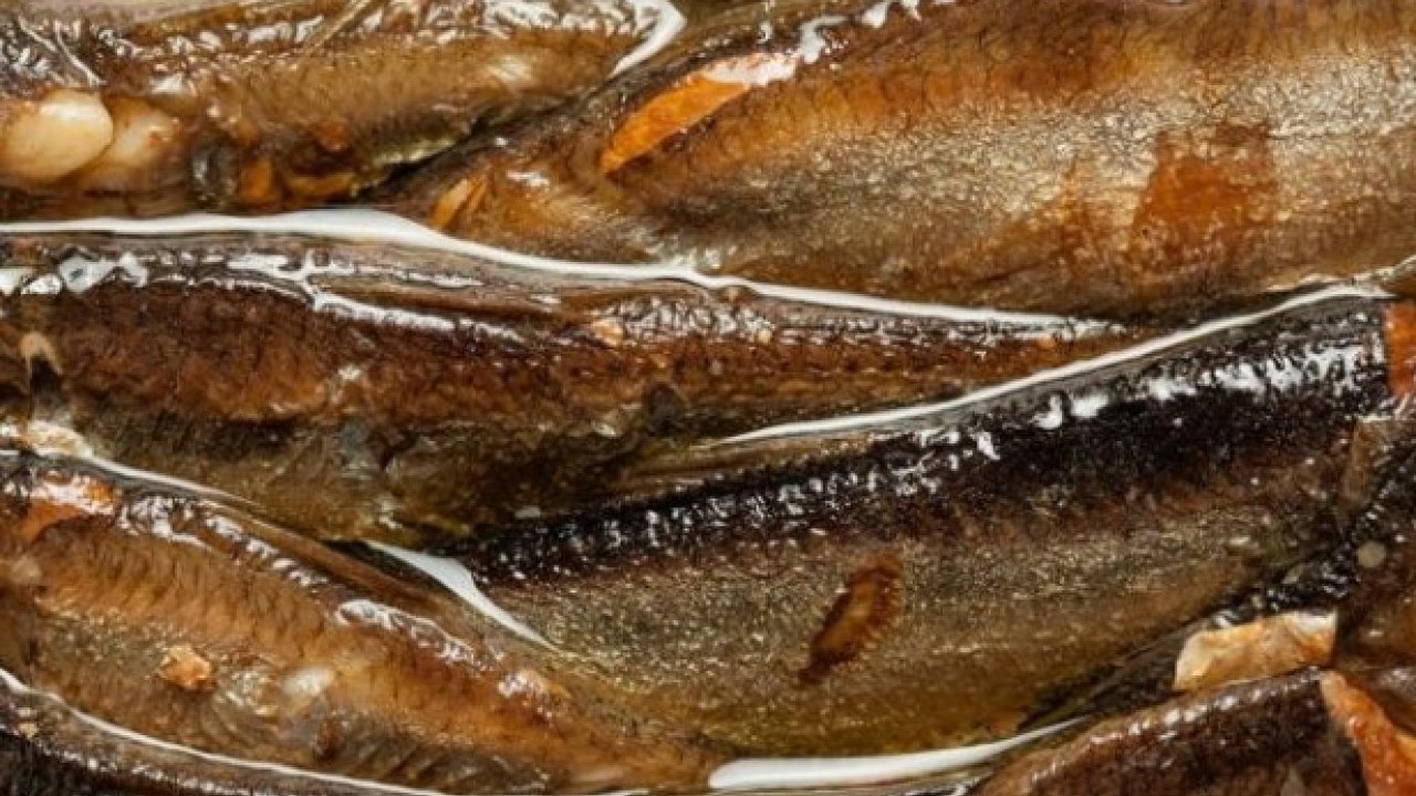 Uzmanlar protein kaynağını açıkladı! Türkiye'nin lezzet mirası genç kalmayı sağlıyor