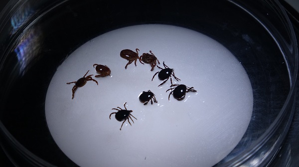 Uzmanlar üstüne basa basa söylüyor | Sakın çıplak elle dokunmayın