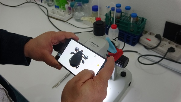 Foto - Uzmanlar üstüne basa basa söylüyor | Sakın çıplak elle dokunmayın