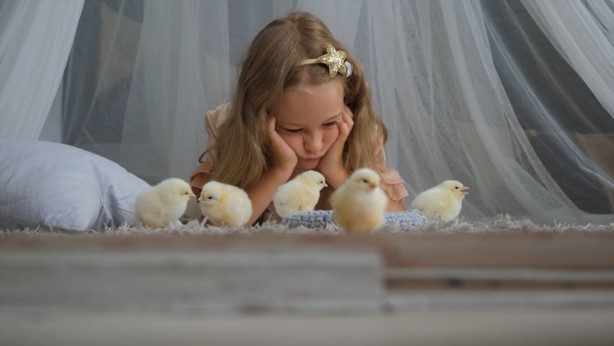 Foto - Uzmanlar üstüne basa basa uyarıyor: kahvaltı sofralarınızdan eksik etmeyin