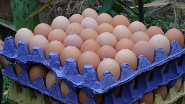 Foto - Uzmanlar üstüne basa basa uyarıyor: kahvaltı sofralarınızdan eksik etmeyin