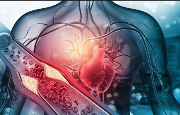 Foto - Uzmanlar uyardı! Kalp krizi riskini engelliyor: Kalbi gençleştiriyor