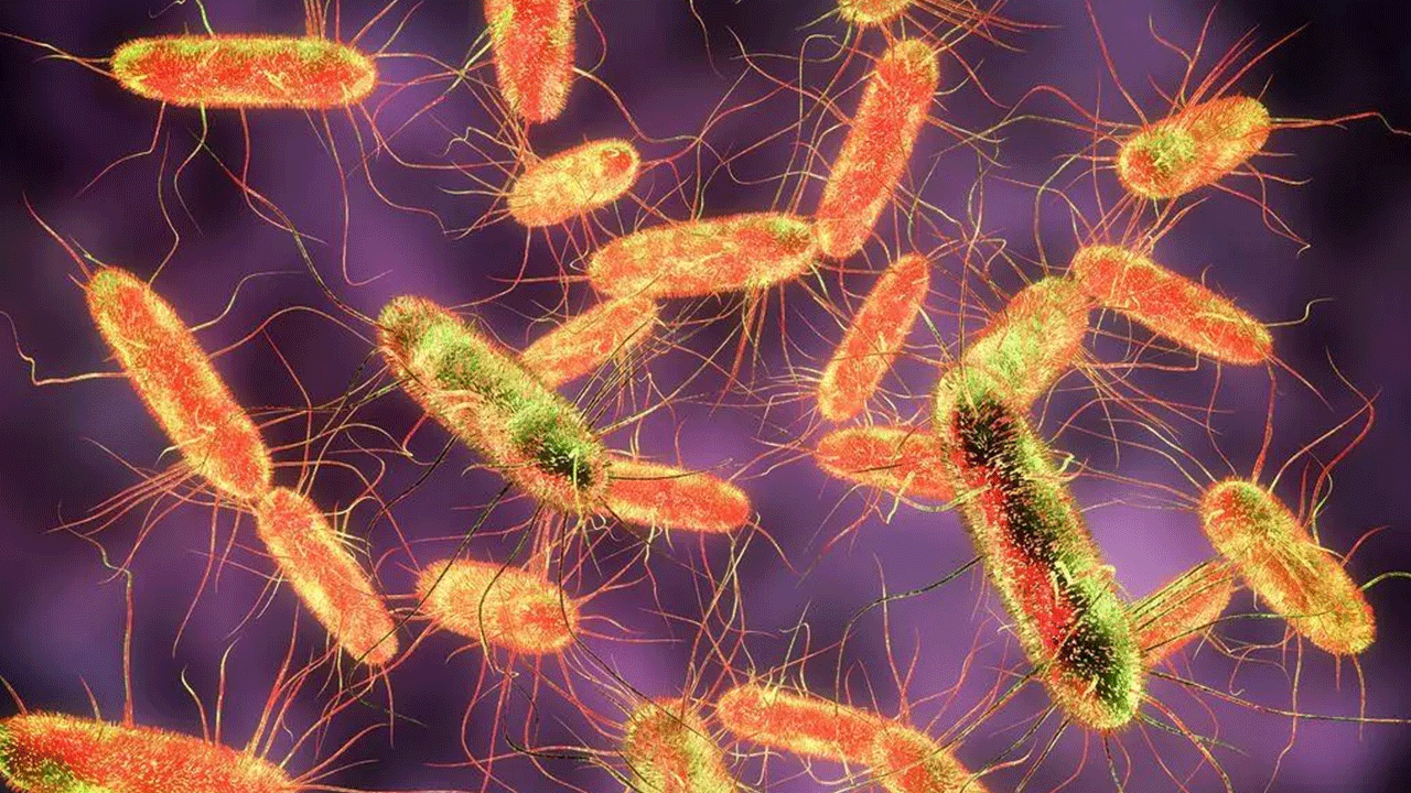 Uzmanlar uyardı: Yumurtayı sakın böyle pişirmeyin