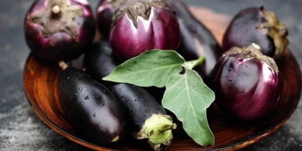 Foto - Uzmanlar uyarıyor! Domates ile salatalık böyleyse evinize bile sokmayın