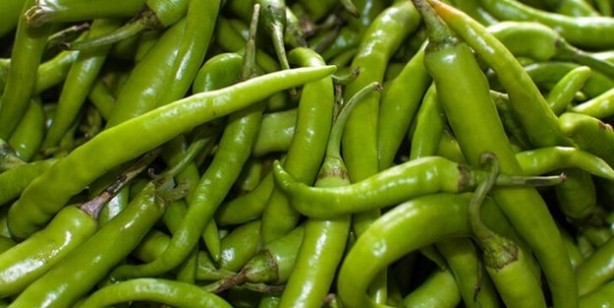 Foto - Uzmanlar uyarıyor! Domates ile salatalık böyleyse evinize bile sokmayın