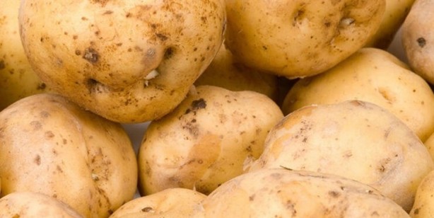 Foto - Uzmanlar uyarıyor! Domates ile salatalık böyleyse evinize bile sokmayın