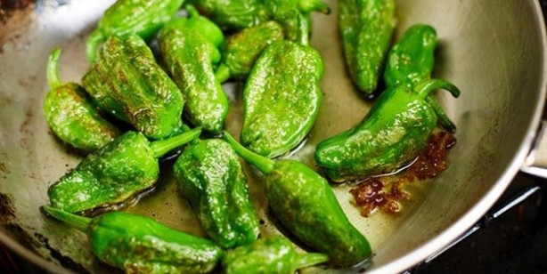 Foto - Uzmanlar uyarıyor! Domates ile salatalık böyleyse evinize bile sokmayın