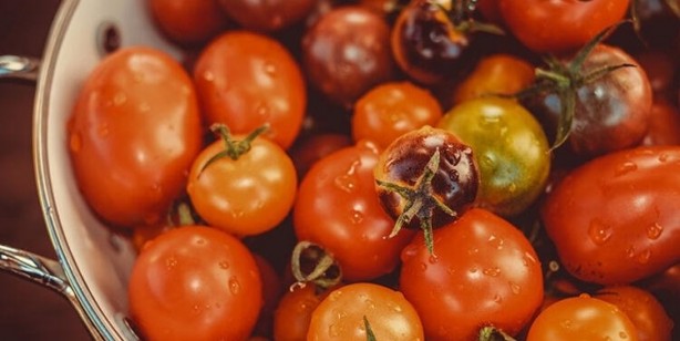 Foto - Uzmanlar uyarıyor! Domates ile salatalık böyleyse evinize bile sokmayın