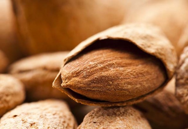 Foto - Uzmanlar uyarıyor! O patatesleri sakın yemeyin