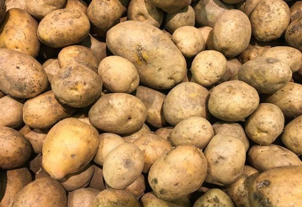 Foto - Uzmanlar uyarıyor! O patatesleri sakın yemeyin