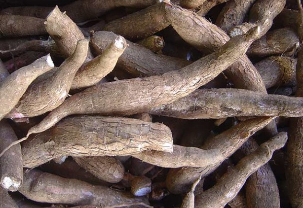 Foto - Uzmanlar uyarıyor! O patatesleri sakın yemeyin