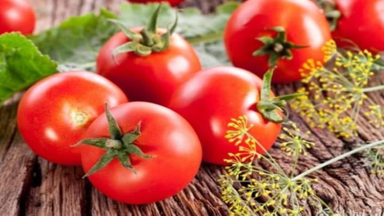 Foto - Uzmanlar vücuda yararlarını sıraladı! Sahurda domates yemenin faydaları nelerdir?
