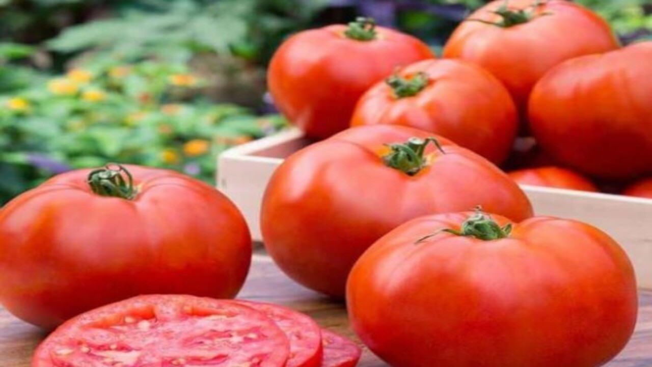 Foto - Uzmanlar vücuda yararlarını sıraladı! Sahurda domates yemenin faydaları nelerdir?