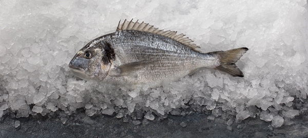 Foto - Uzmanlar zehir listesini açıkladı... Beyin hücrelerini öldürüyor